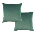 Vivid Coordinate Velvet Sage European Pillowcases 65 x 65 cm - Royalratri