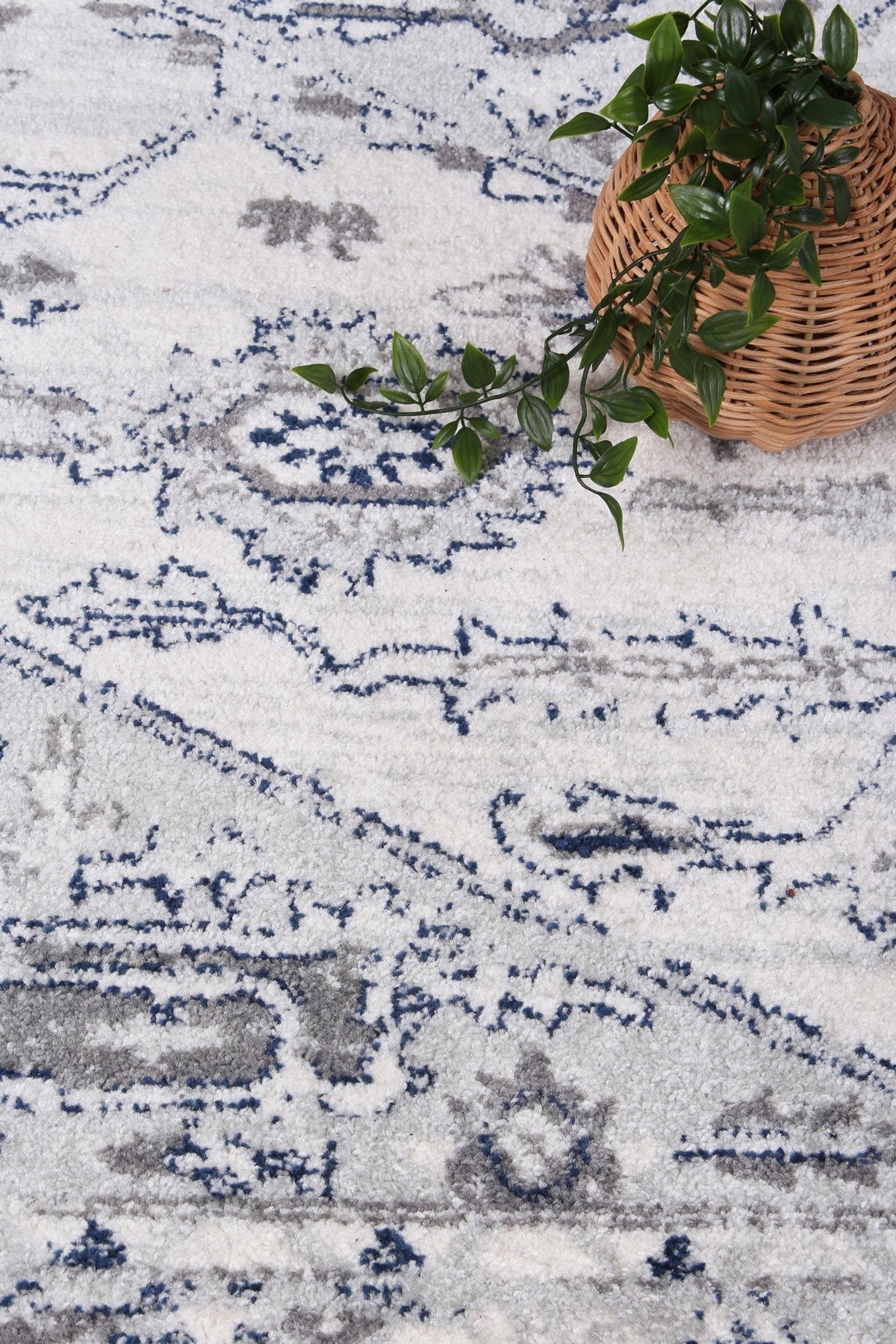 Provence Rugs