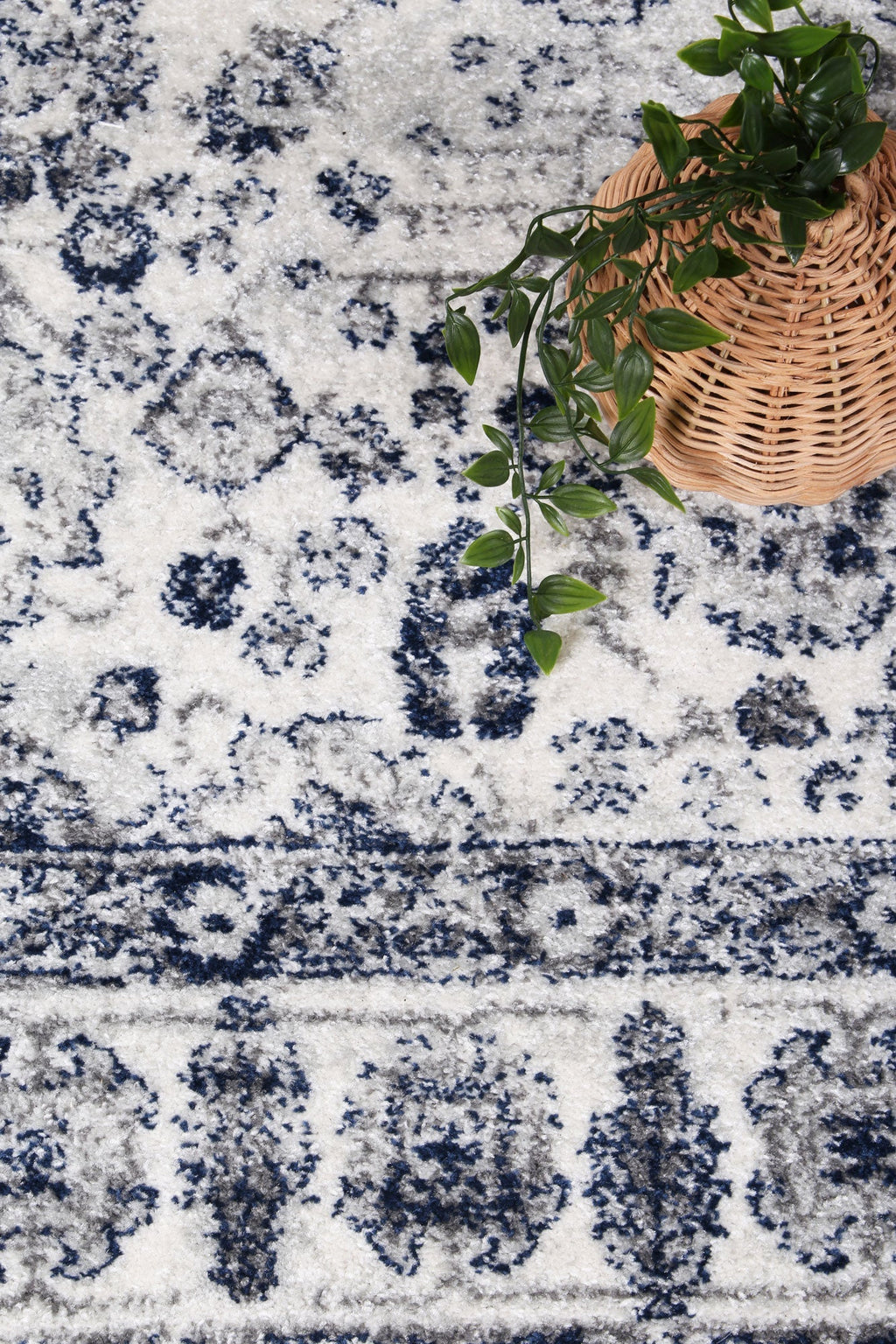 Provence Rugs